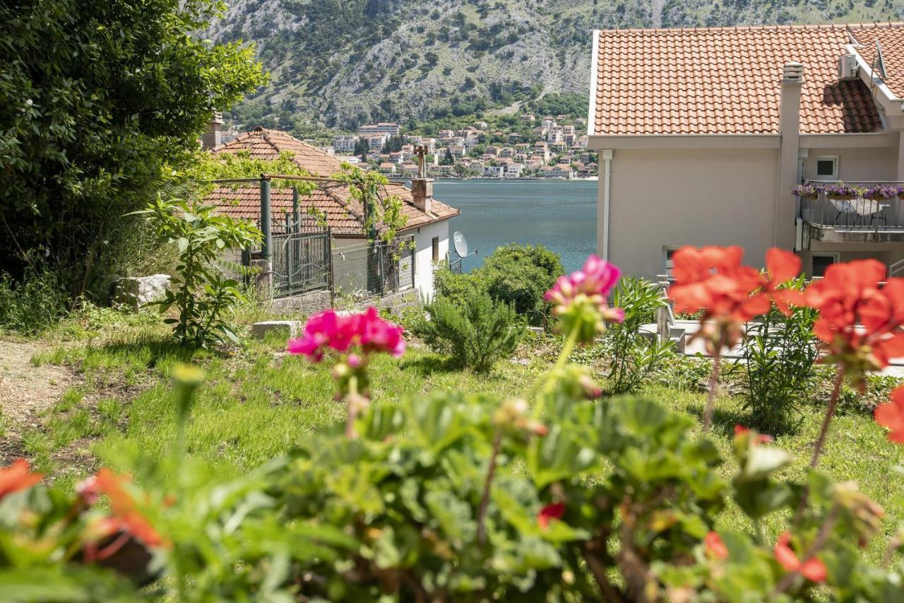 Muo Sea Front Apartments Kotor Ngoại thất bức ảnh