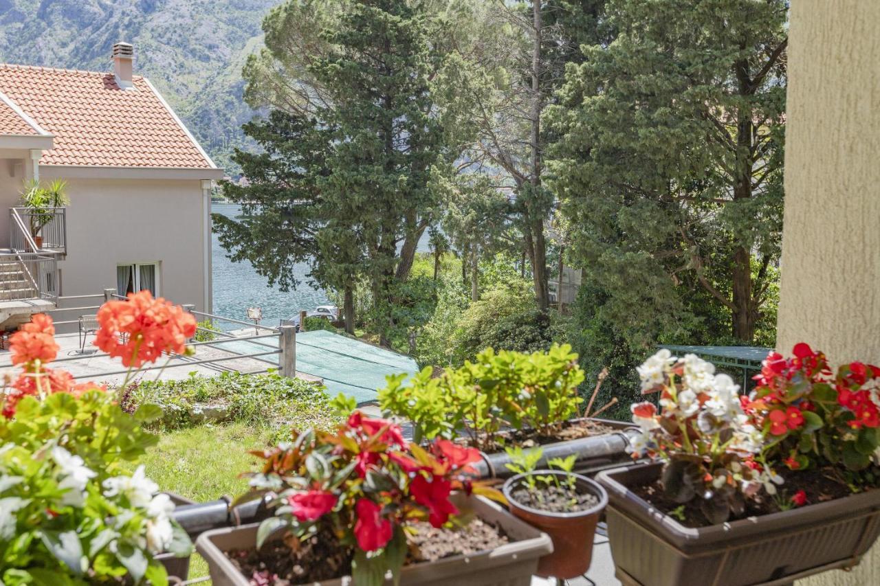 Muo Sea Front Apartments Kotor Ngoại thất bức ảnh